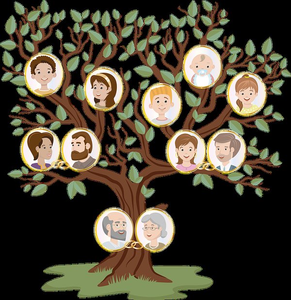 Quelles sont les informations à connaître pour créer son arbre généalogique ?